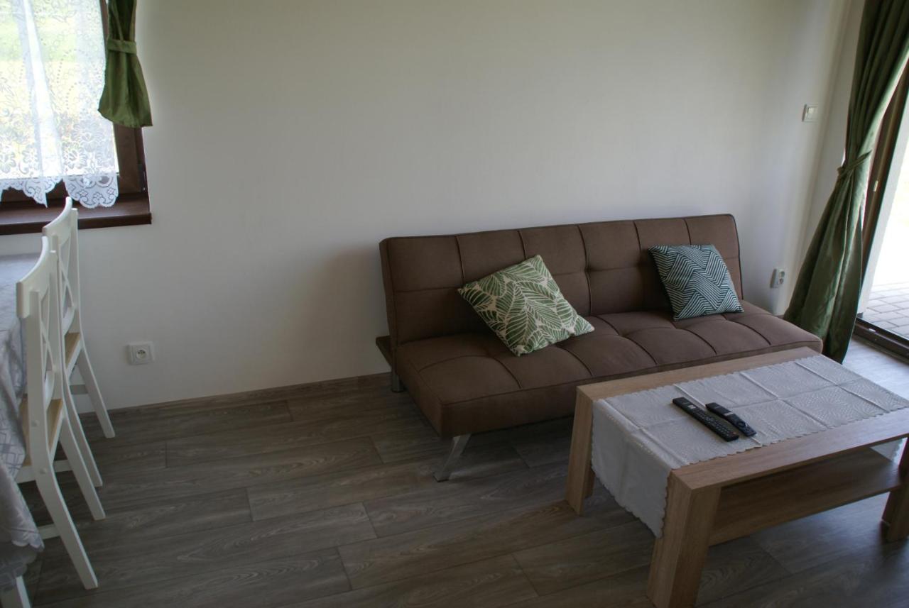 Apartmany U Olsinske Kaplicky Horní Planá Bagian luar foto
