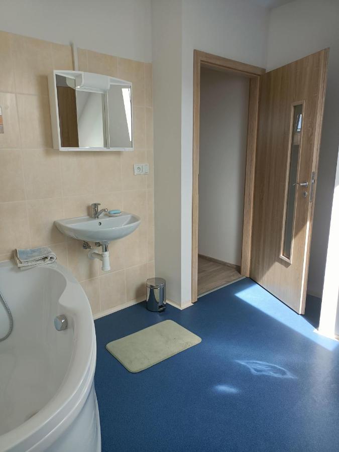 Apartmany U Olsinske Kaplicky Horní Planá Bagian luar foto