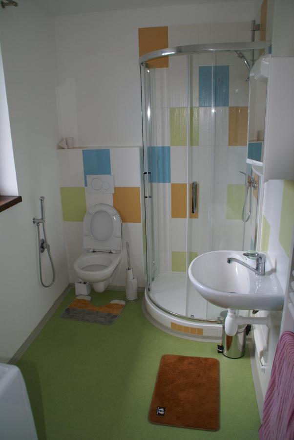 Apartmany U Olsinske Kaplicky Horní Planá Bagian luar foto