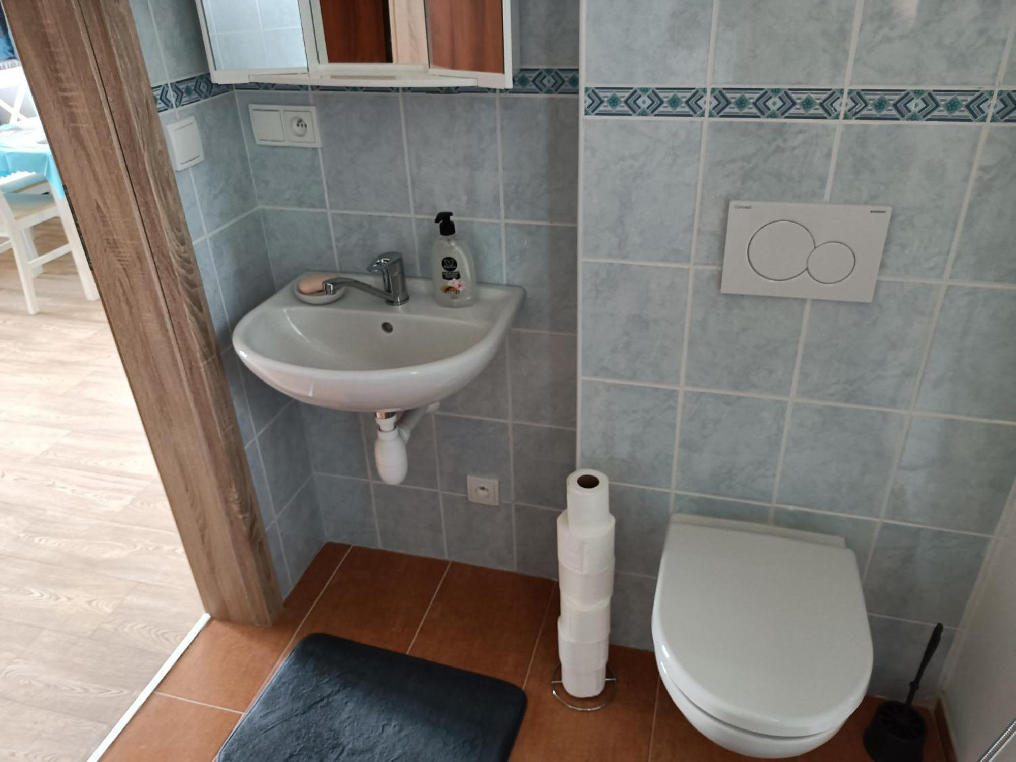 Apartmany U Olsinske Kaplicky Horní Planá Bagian luar foto